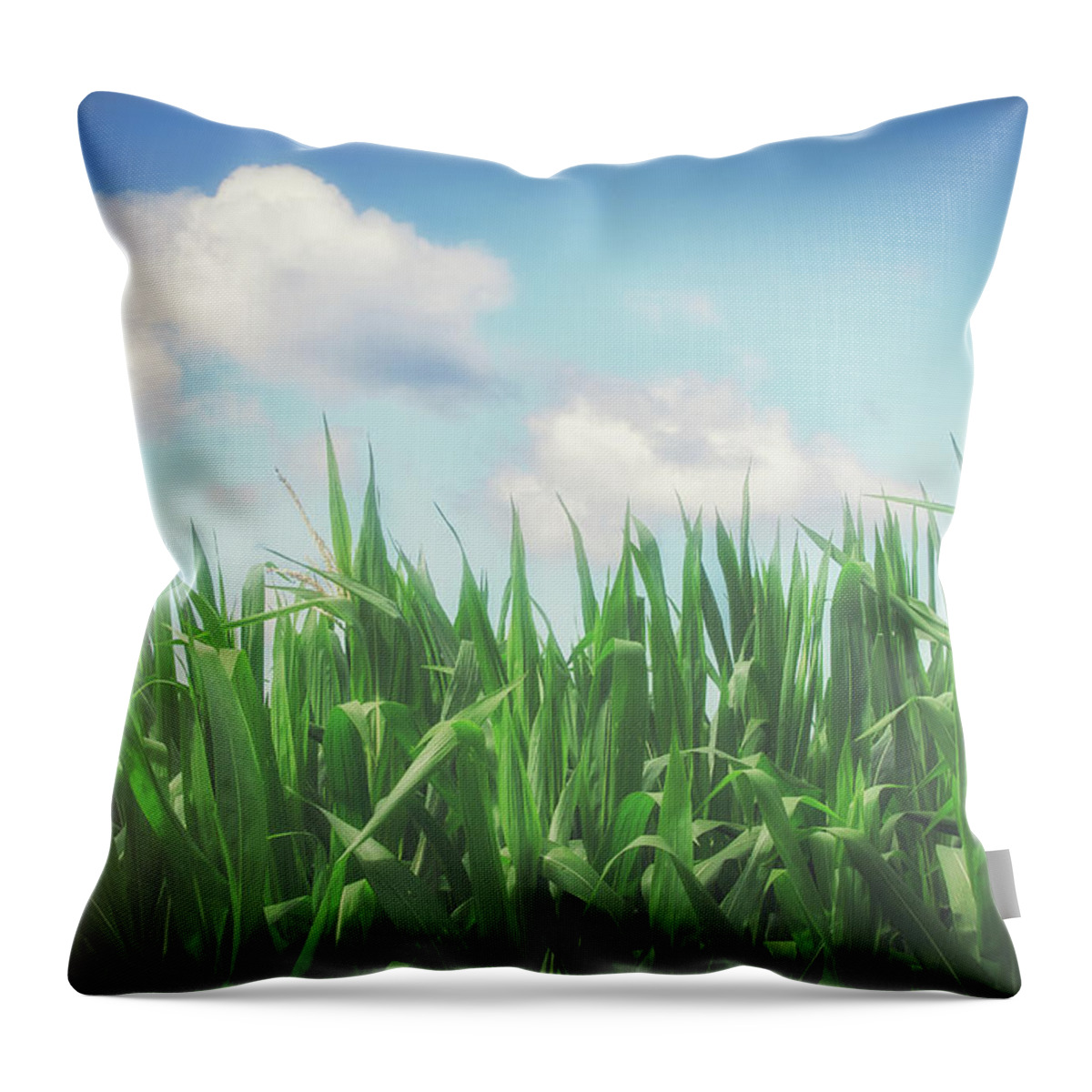 Landscape Throw Pillow featuring the photograph Field Of Corn by Bob Orsillo