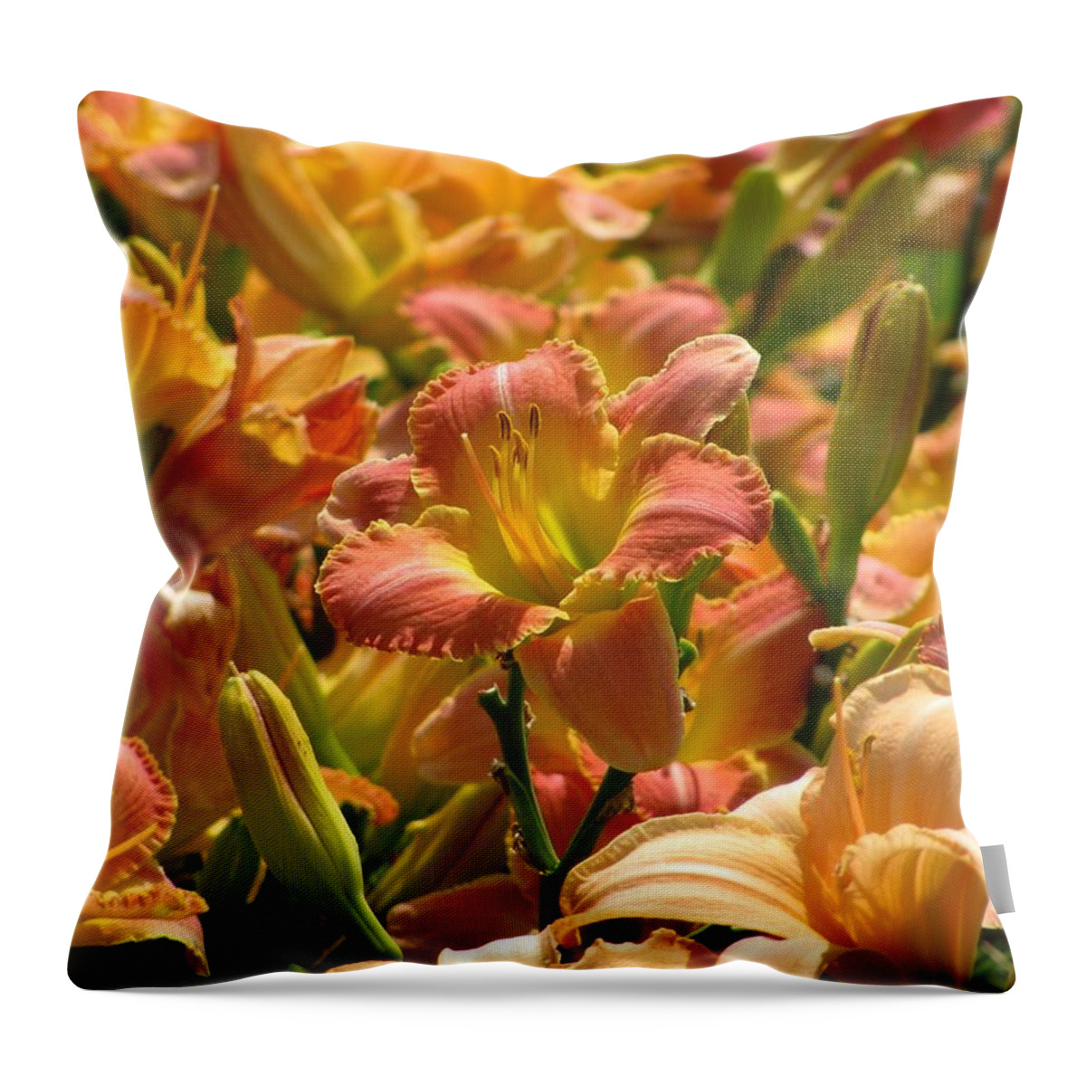 Nature Throw Pillow featuring the photograph Field Of Daylilies by Alfred Ng