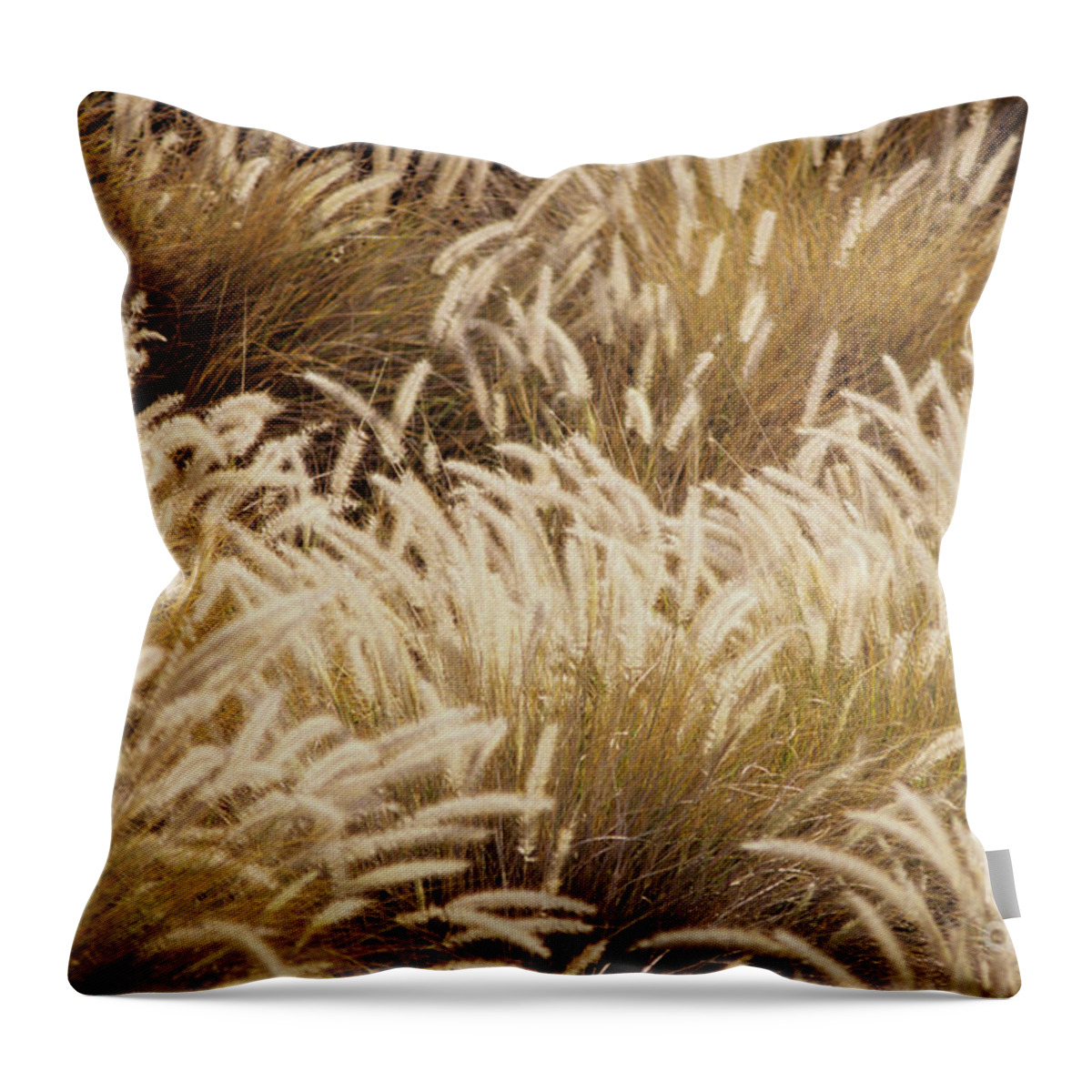 Beautiful Throw Pillow featuring the photograph Field of Feathers by Rita Ariyoshi - Printscapes