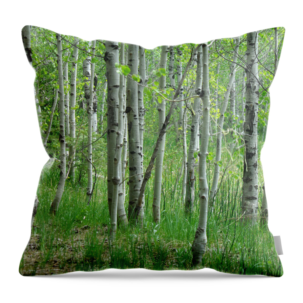 Tree Throw Pillow featuring the photograph Field Of Teens by Donna Blackhall