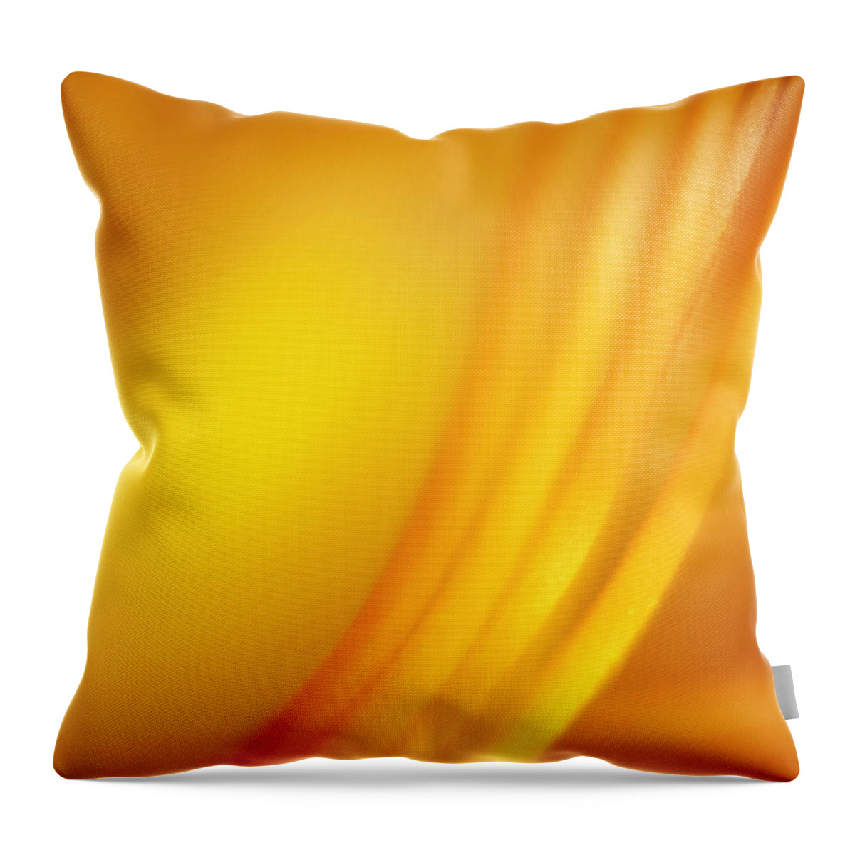 Filament Throw Pillow featuring the photograph Filament by Scott Norris