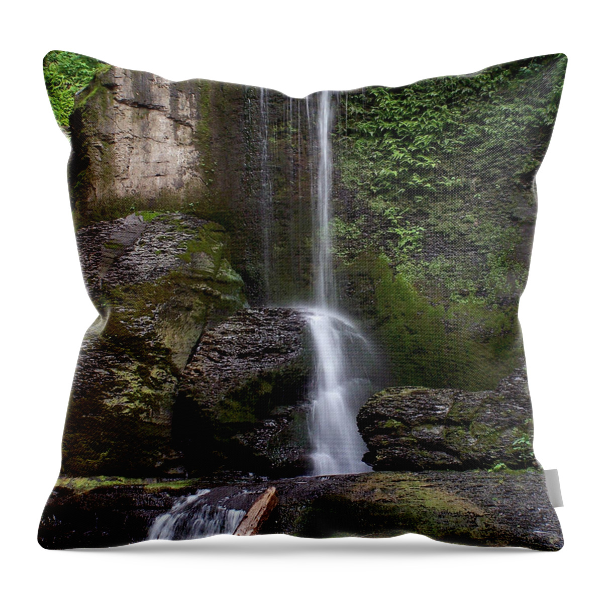 Parks Throw Pillow featuring the photograph Filmore Glen by Debbie Fieno