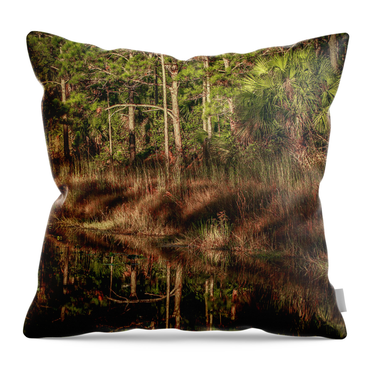 Sun Throw Pillow featuring the photograph Filtering Through the Trees by Tom Claud