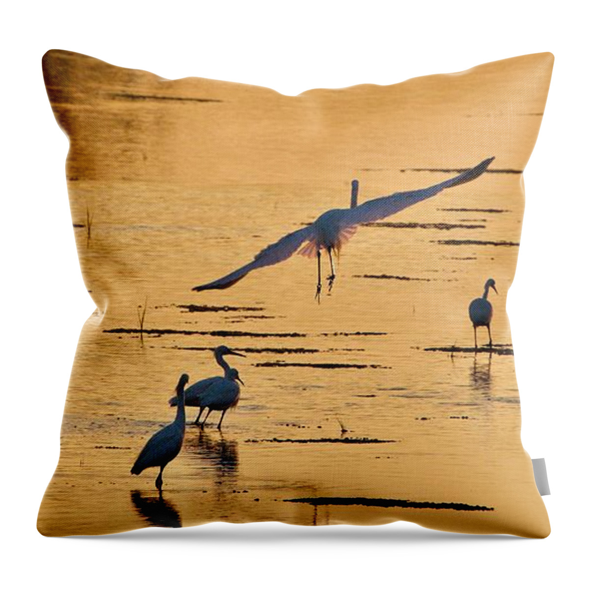 Bird Throw Pillow featuring the photograph Final Glide Path to Dinner by Shawn M Greener