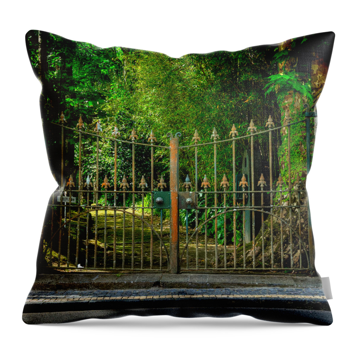 Azores Throw Pillow featuring the photograph Fine Art Colour-104 by Joseph Amaral