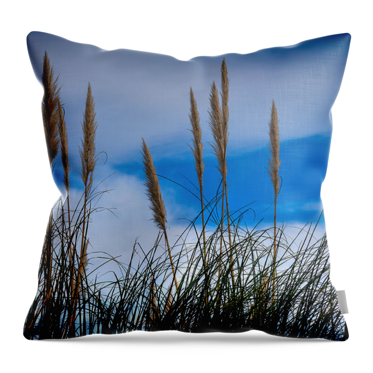 Azores Throw Pillow featuring the photograph Fine Art Colour-132 by Joseph Amaral