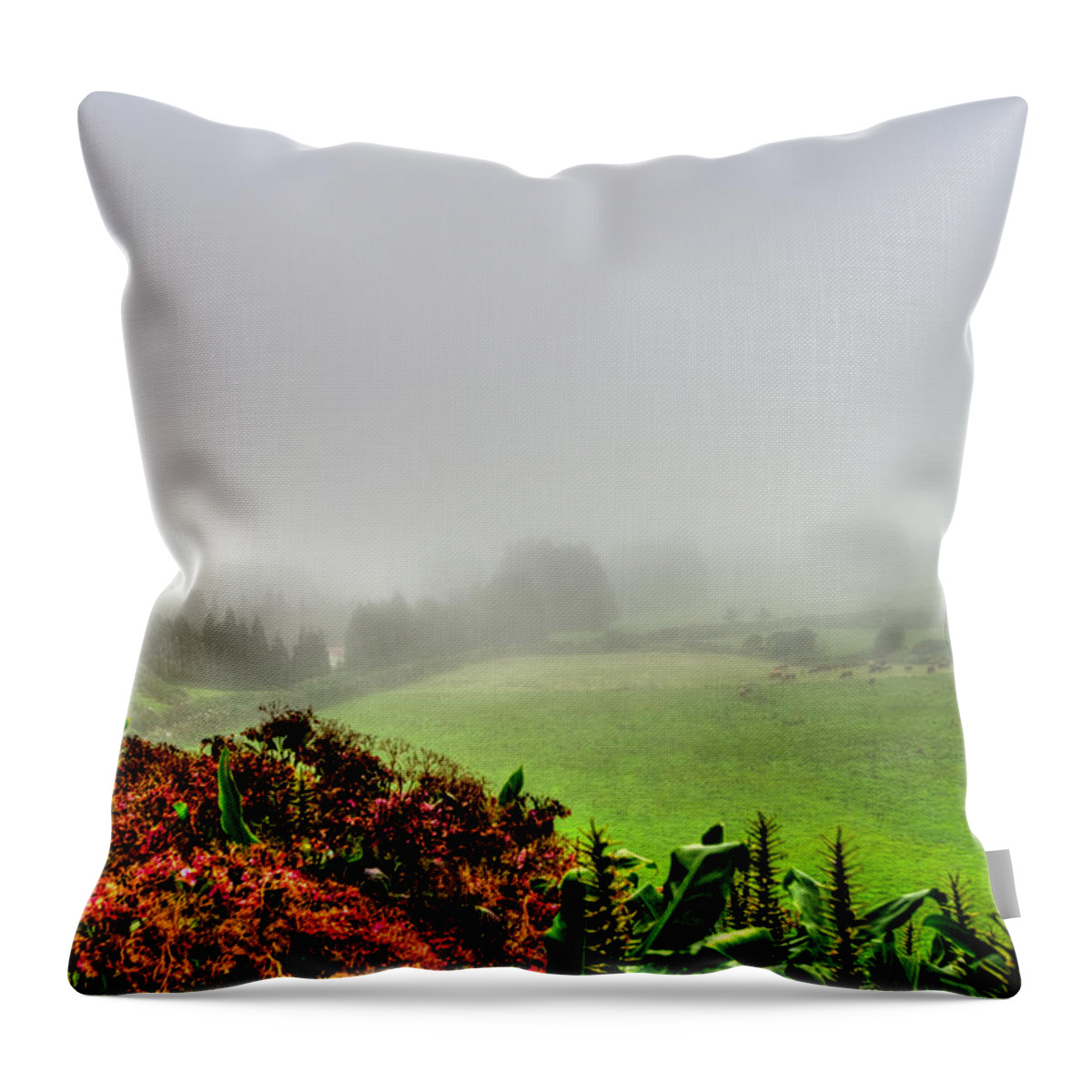 Azores Throw Pillow featuring the photograph Fine Art Colour-163 by Joseph Amaral