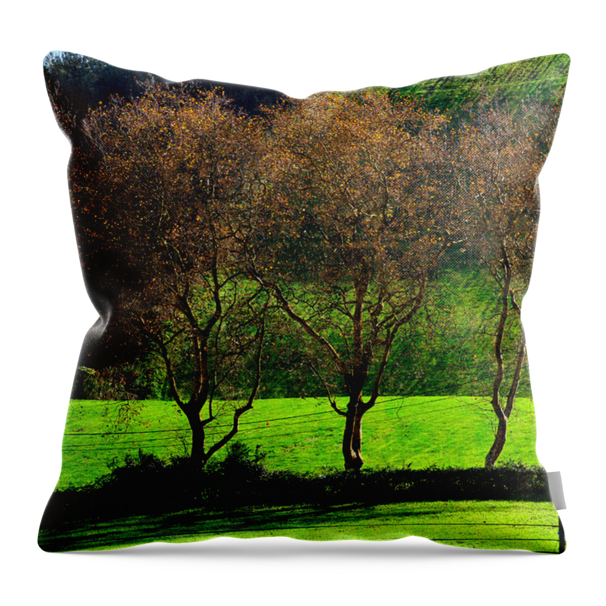 Azores Throw Pillow featuring the photograph Fine Art Colour-191 by Joseph Amaral