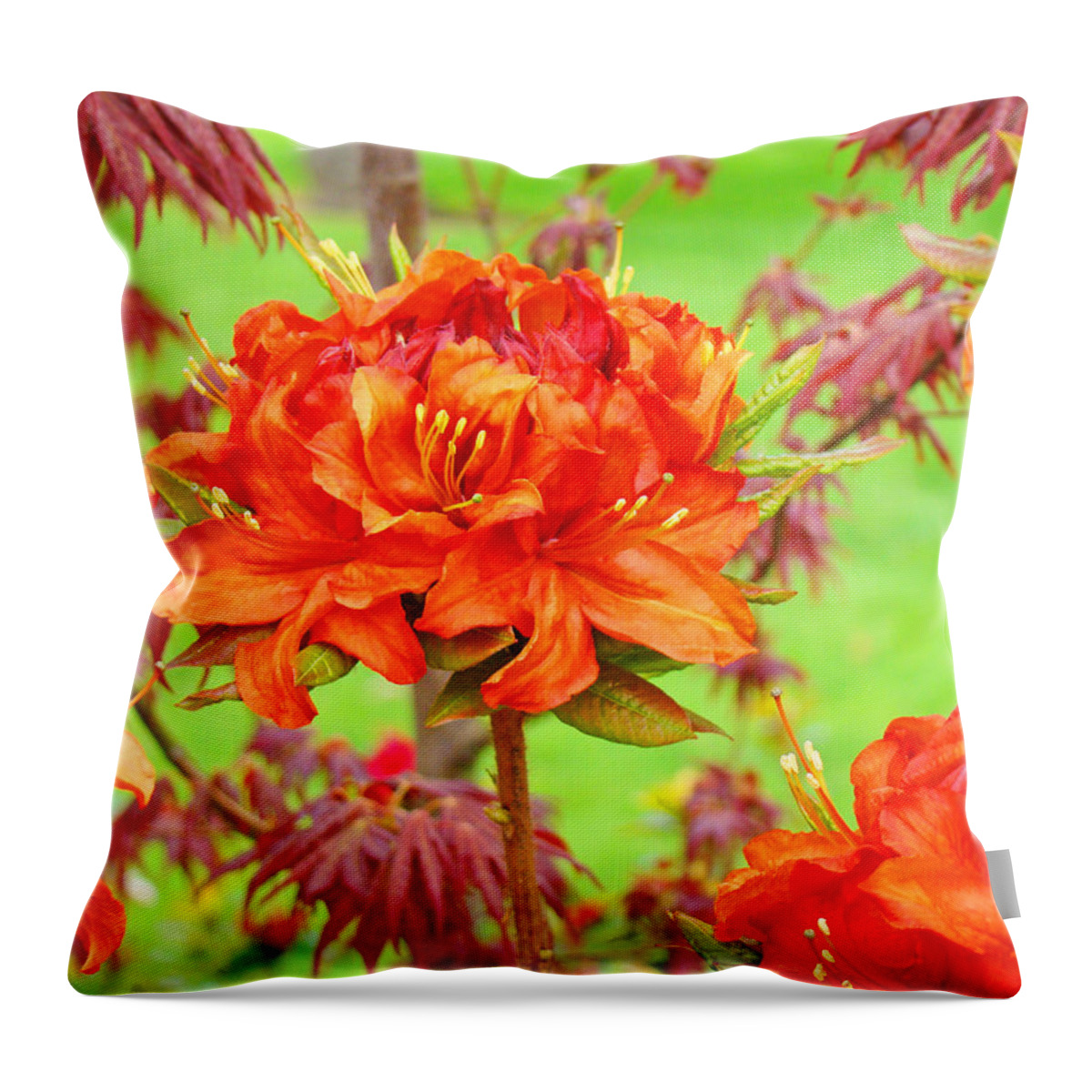 Rhodie Throw Pillow featuring the photograph Fine Art Floral Art Prints Canvas Orange Rhodies Baslee Troutman by Patti Baslee
