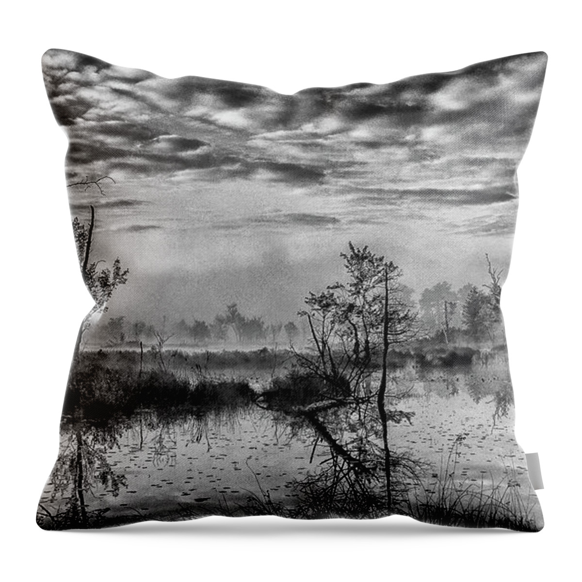 Landscape Throw Pillow featuring the photograph Fine Art Jersey pines landscape by Louis Dallara