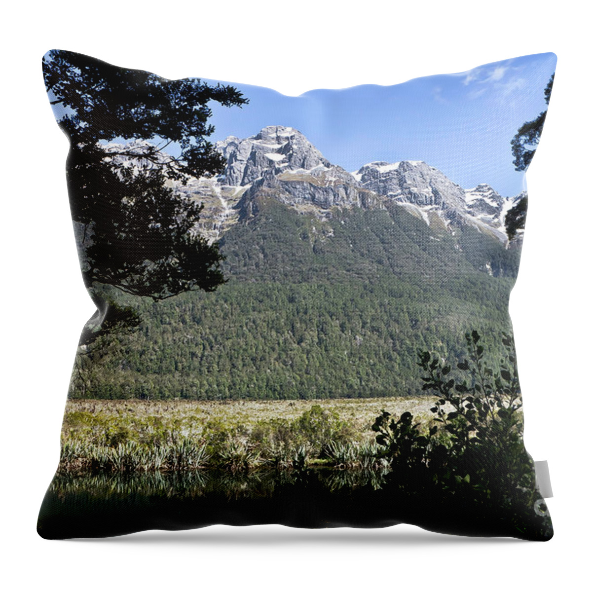 Queenstown Throw Pillow featuring the photograph Fiordland National Park, Earl Mountains. New Zealand. by Yurix Sardinelly