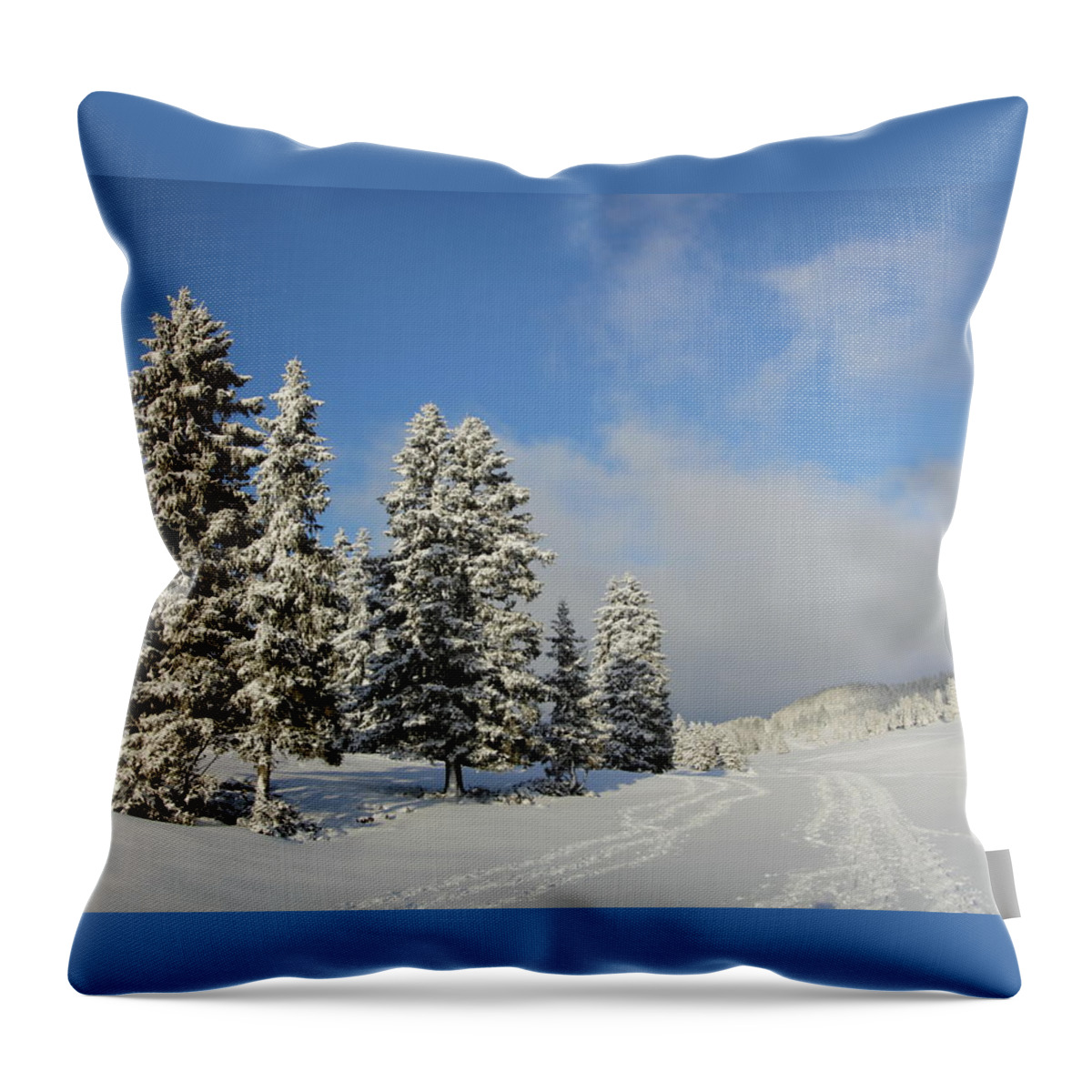 Background Throw Pillow featuring the photograph Fir tree in winter, Jura mountain, Switzerland by Elenarts - Elena Duvernay photo