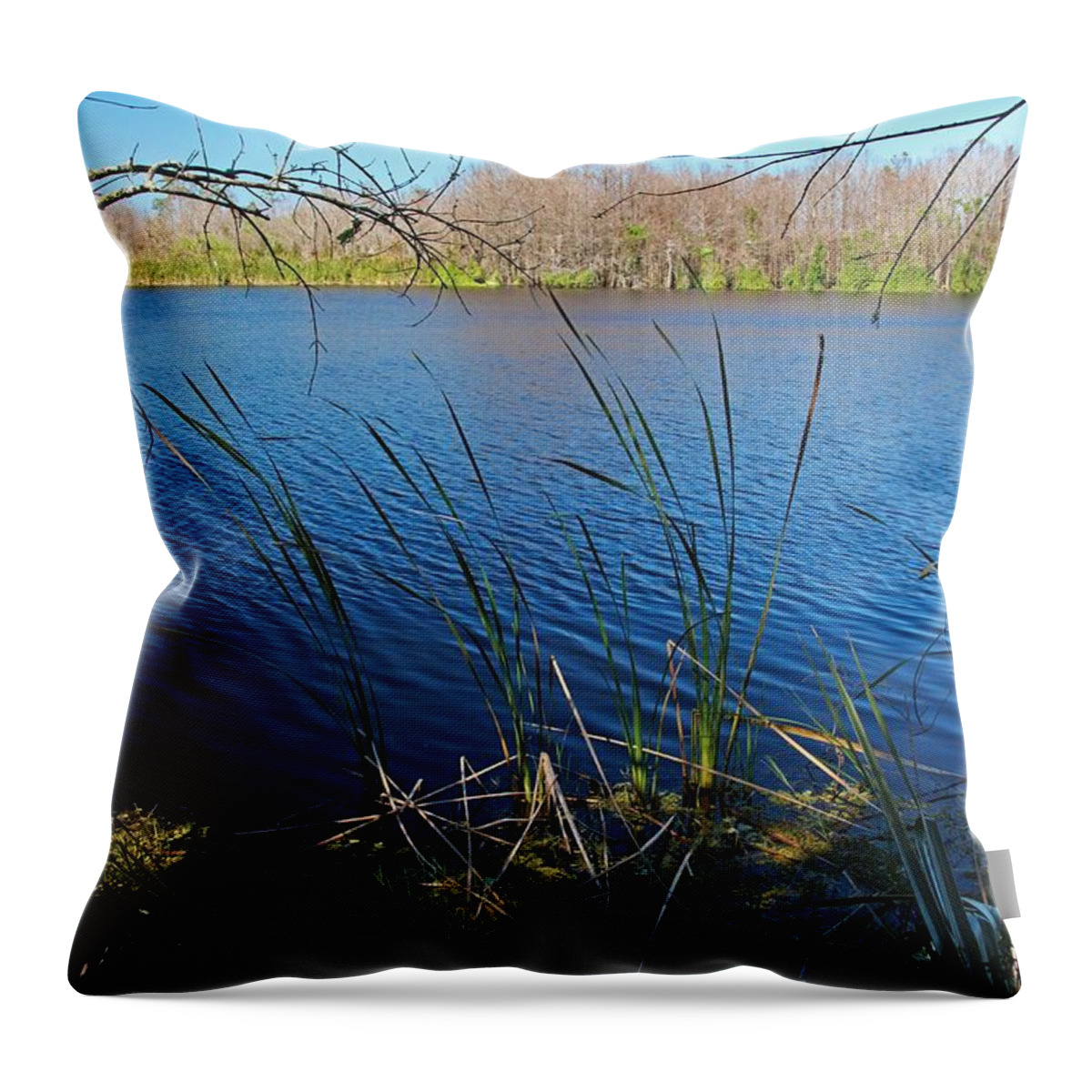 Fort Myers Throw Pillow featuring the photograph Fire in the Heart by Michiale Schneider