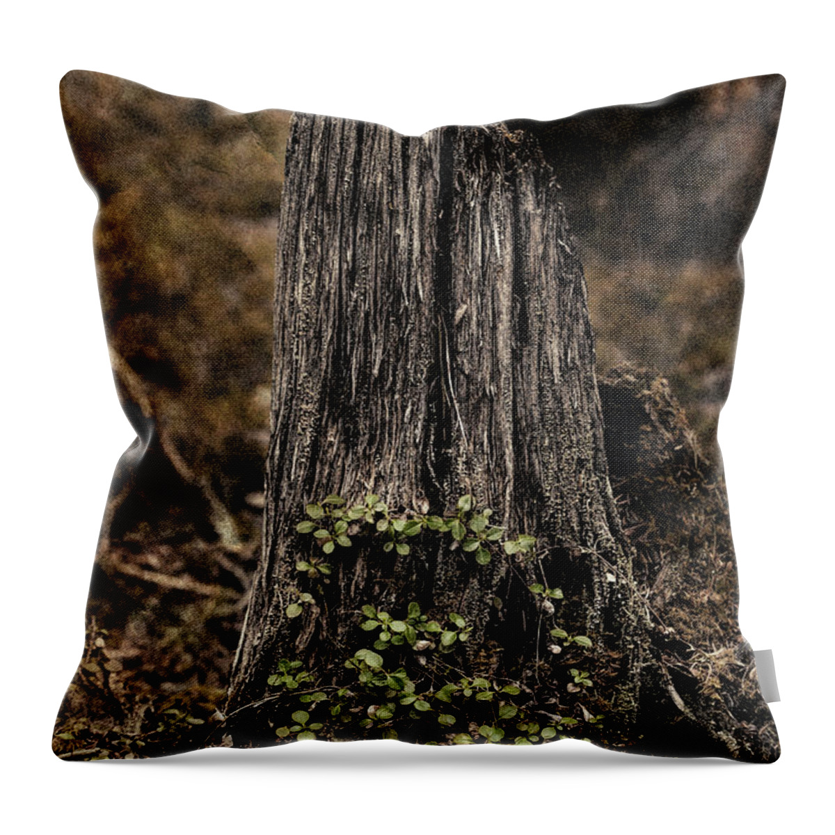 Alaska Throw Pillow featuring the photograph Fire-Killed Stump by Fred Denner