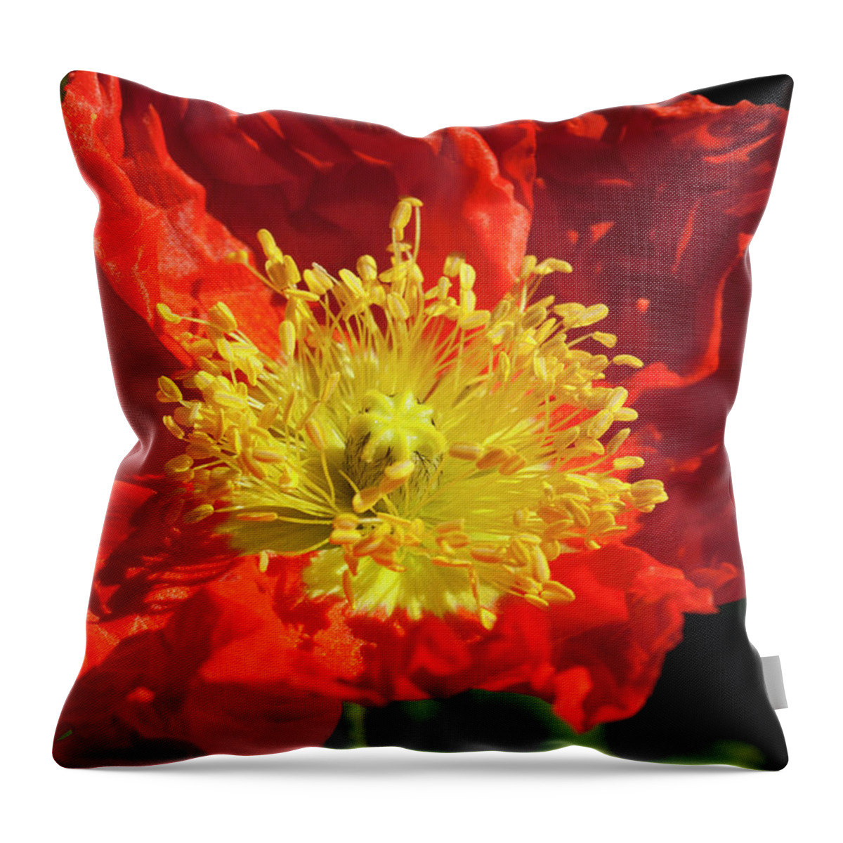 Flower Throw Pillow featuring the photograph Firery flower by Martin Valeriano
