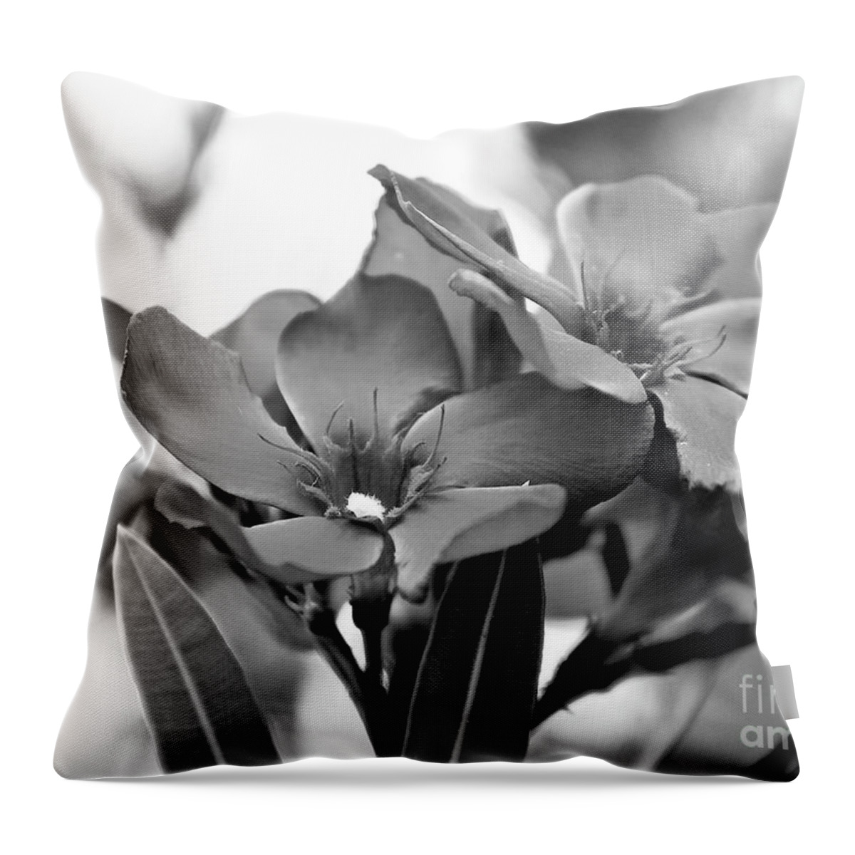 Oleander Throw Pillow featuring the photograph Firewalker SW by Wilhelm Hufnagl