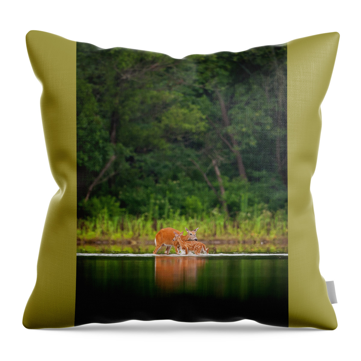 Pomona Lake Throw Pillow featuring the photograph First Bath by Jeff Phillippi