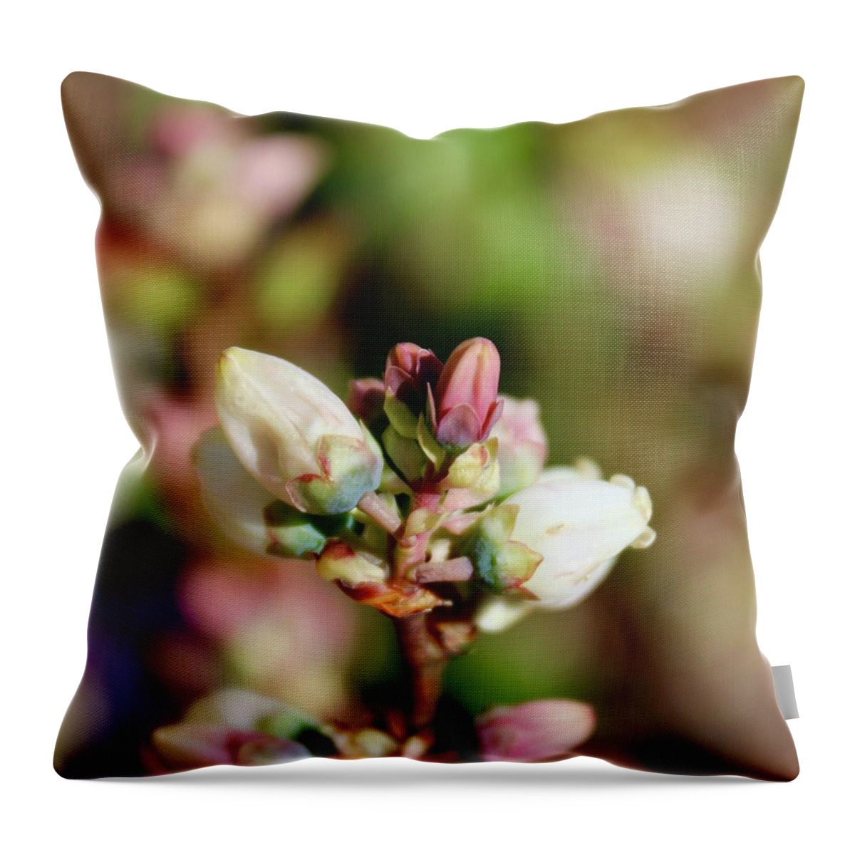 Photograph Throw Pillow featuring the photograph First Blueberry Blooms April 18 2018 by M E