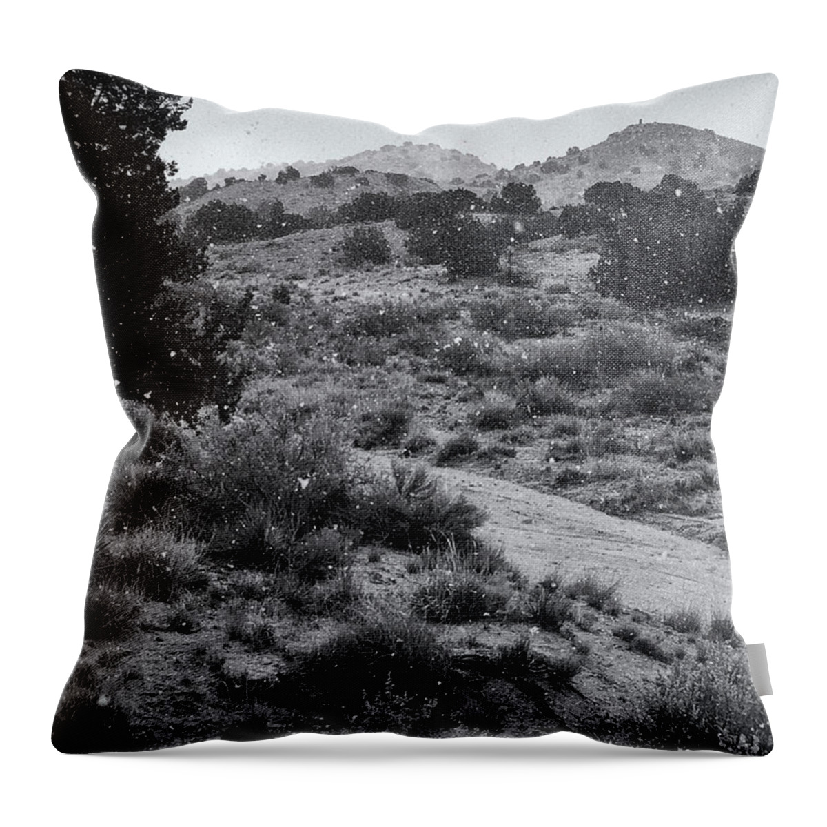 Southwest Throw Pillow featuring the photograph First Snow and the Day was Gray by Mary Lee Dereske