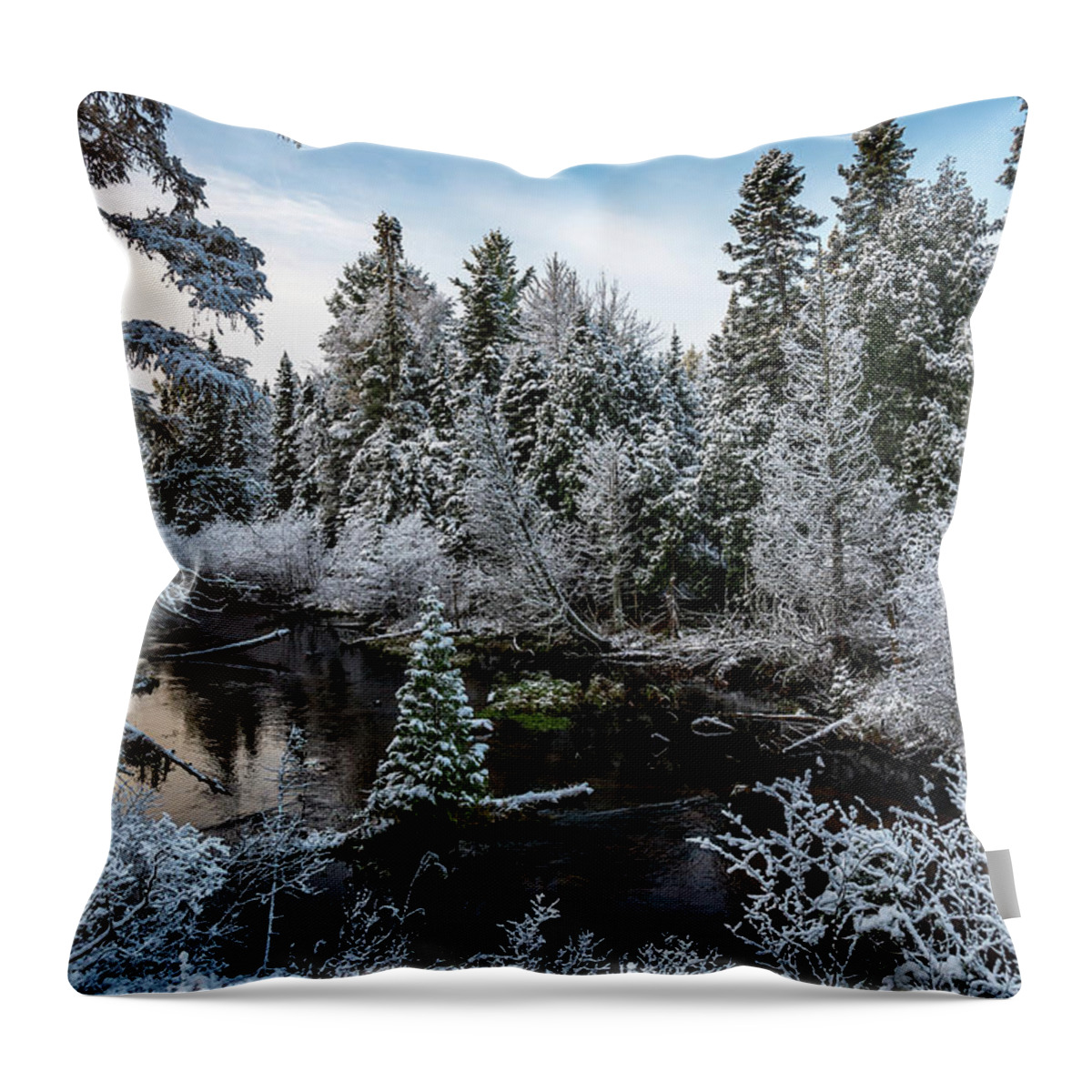 Grand Marais Mi Throw Pillow featuring the photograph First Snow on Grand Marais Creek by Gary McCormick