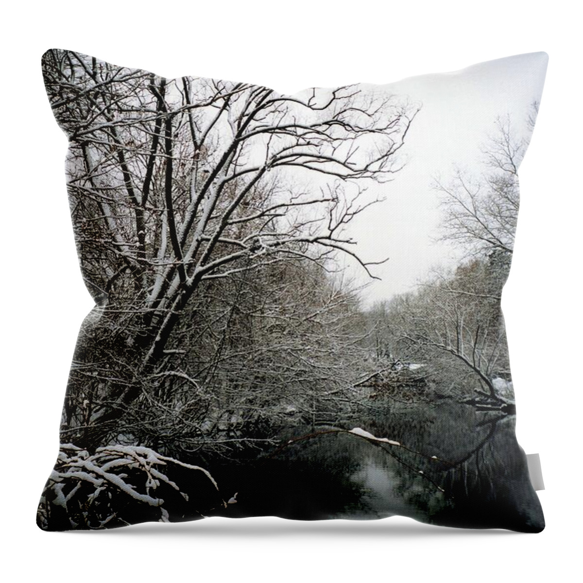 Snow Throw Pillow featuring the photograph First snow by John Scates