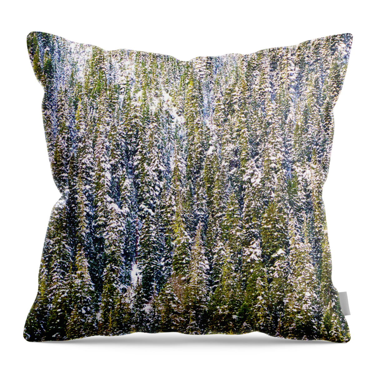 Landscape Throw Pillow featuring the photograph First Snow on Trees by Brian O'Kelly