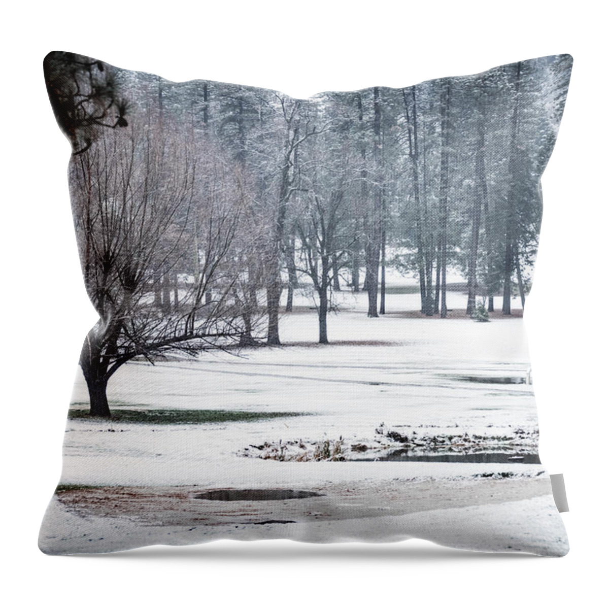 Snow Throw Pillow featuring the photograph First Snow by Wendy Carrington