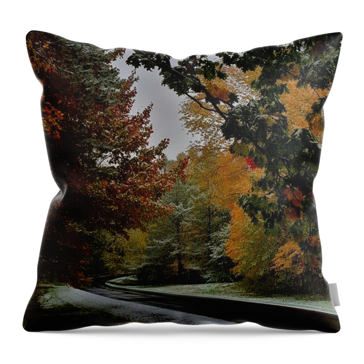Seasons Throw Pillow featuring the photograph First Snowfall by Dani McEvoy