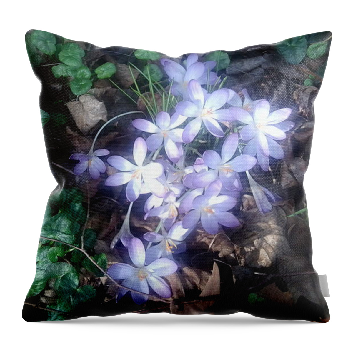 Spring Throw Pillow featuring the photograph First Spring Treasures 2017 by Julia Woodman
