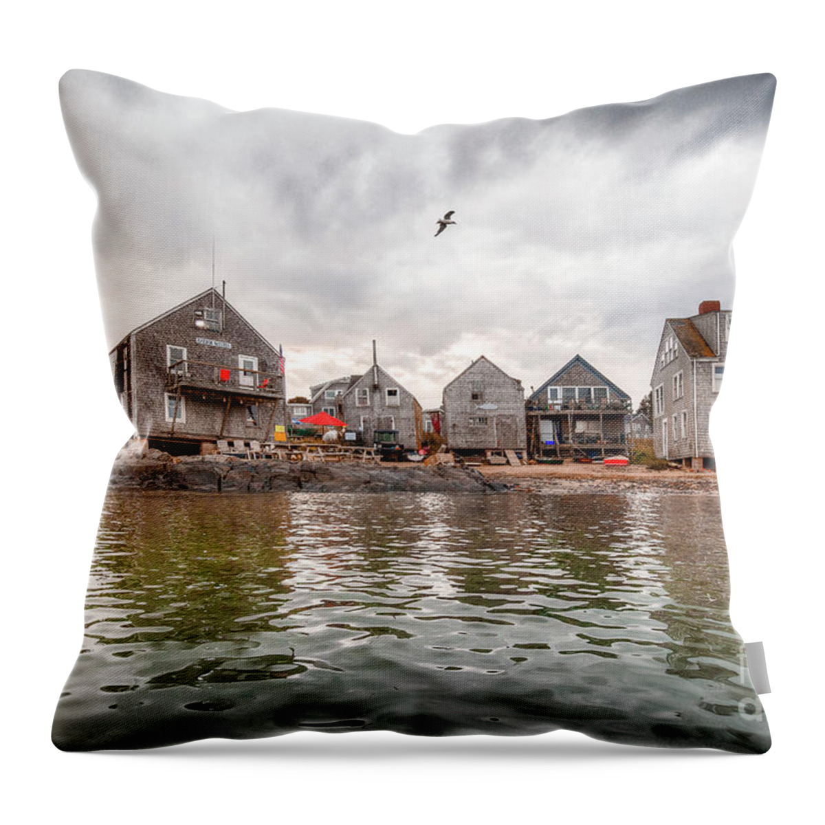 Monhegan Island Throw Pillow featuring the photograph Fish Beach by Tom Cameron