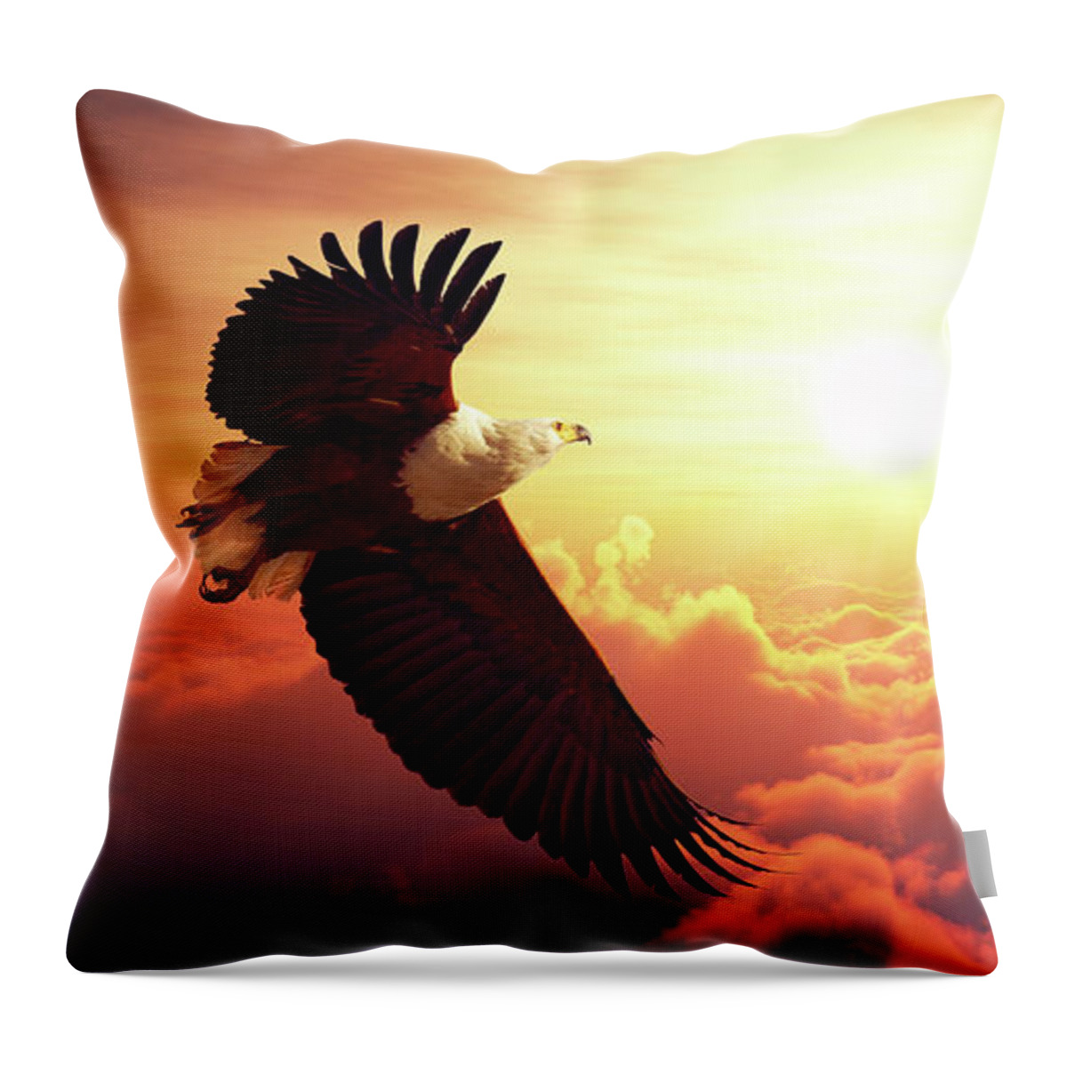 Eagle Throw Pillow featuring the photograph Fish Eagle flying above clouds by Johan Swanepoel