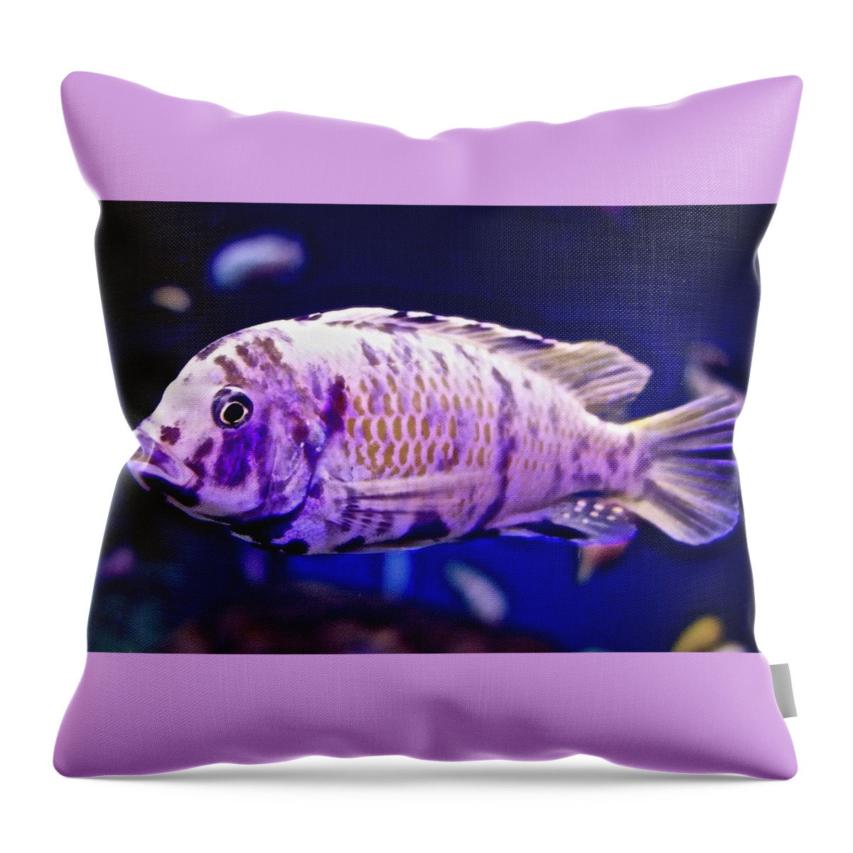 Calico Goldfish Throw Pillow featuring the photograph Calico Goldfish by Joan Reese