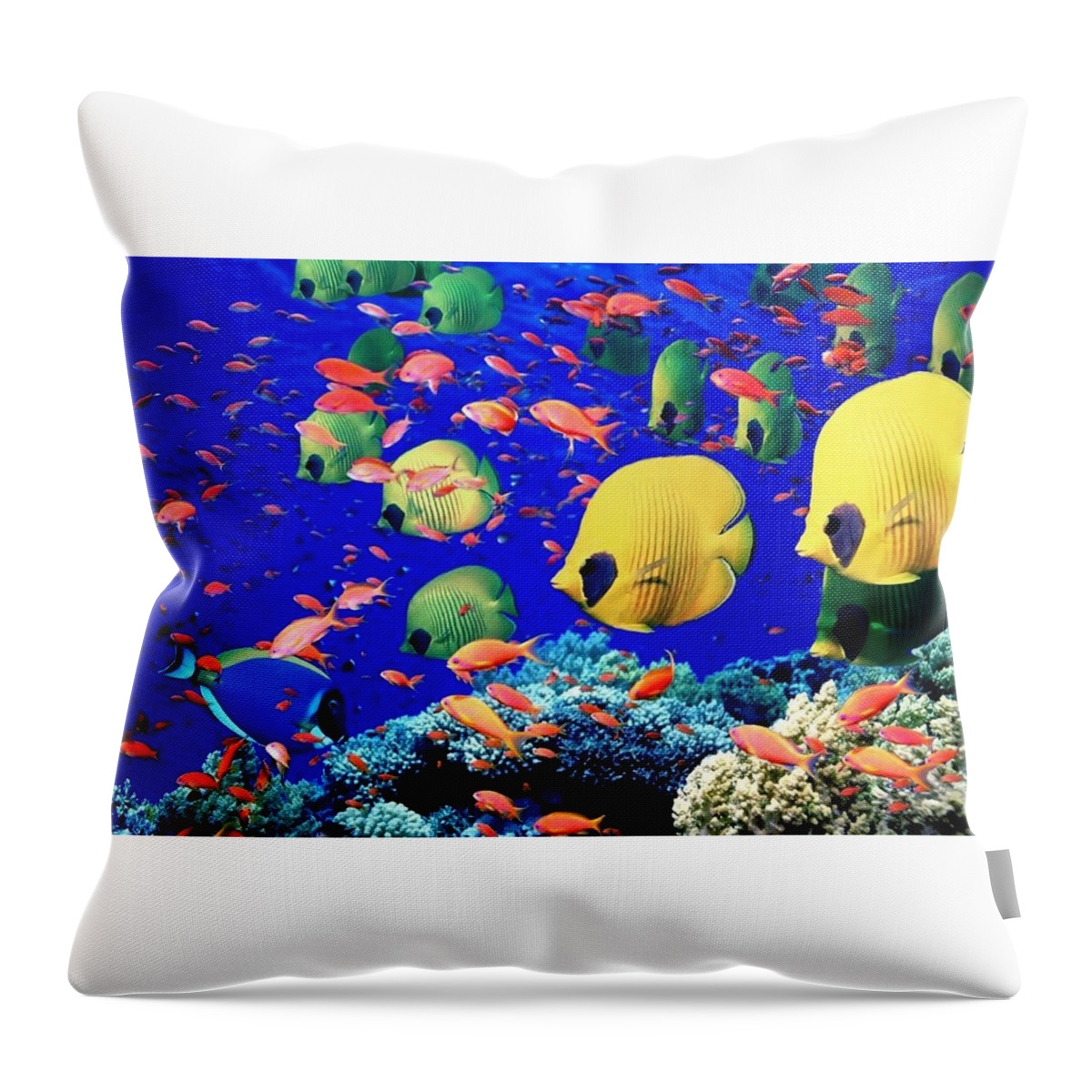 Fish Throw Pillow featuring the photograph Fish by Jackie Russo