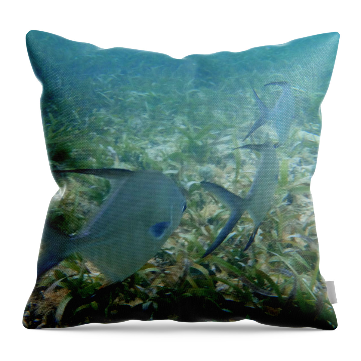 Fish Throw Pillow featuring the photograph Fish line by Brooke Bowdren