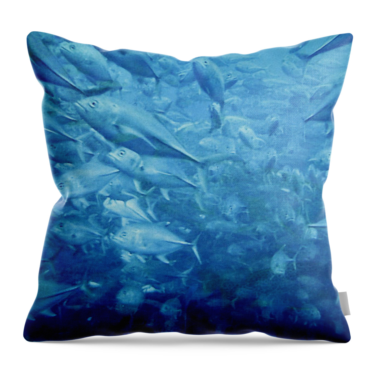 Fish Throw Pillow featuring the photograph Fish Schooling Harmonious Patterns Throughout The Sea by Alexandra Till