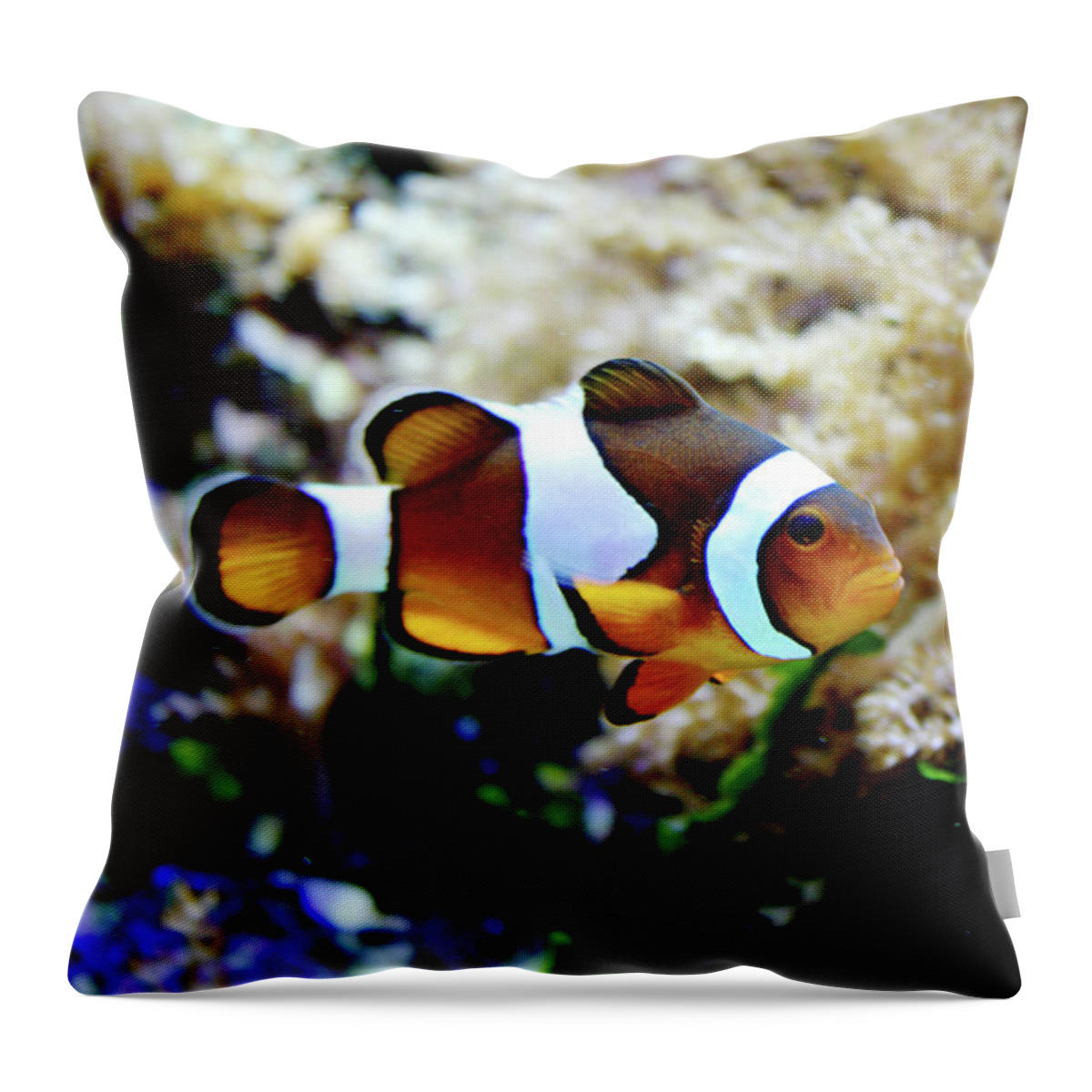 Fish Throw Pillow featuring the photograph Fish stripes Clownfish by Toni Hopper