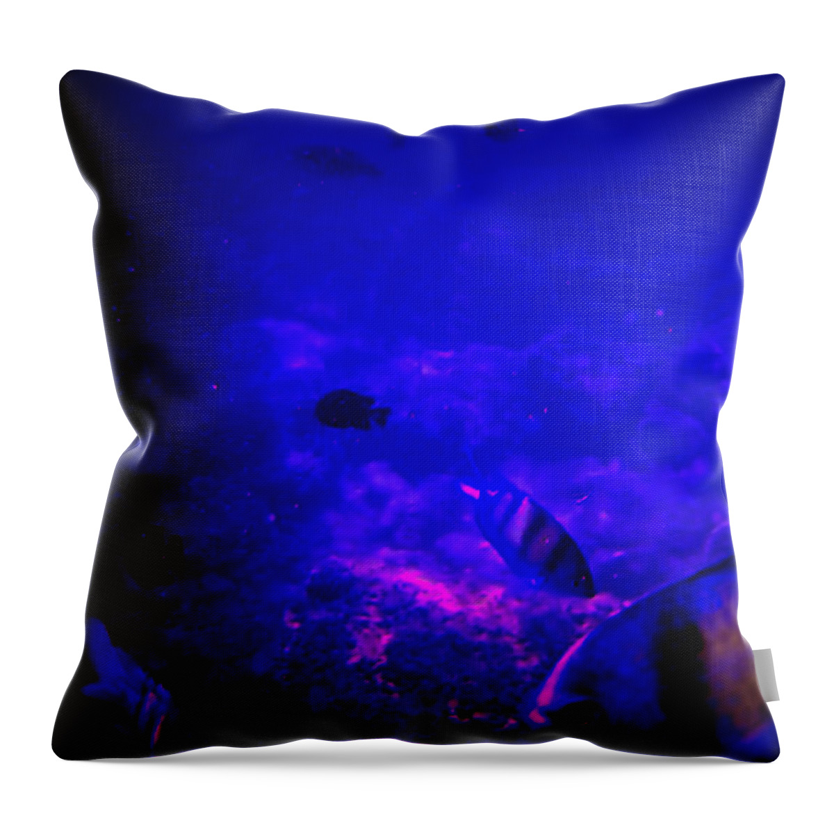 Fish Throw Pillow featuring the photograph Fish Tank Dark by Michael Blaine
