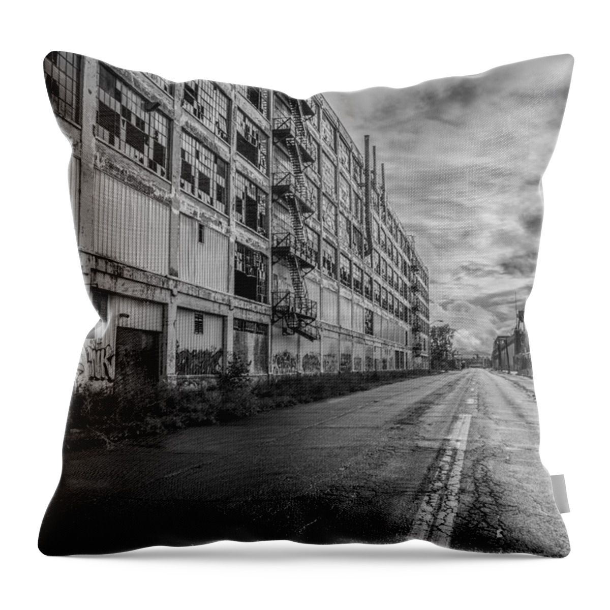 Fisher Body Throw Pillow featuring the photograph Fisher Body in Black and White by Pravin Sitaraman