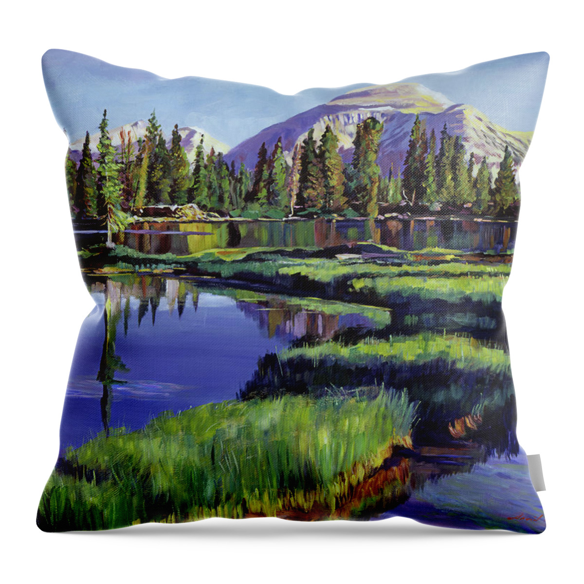 Landscape Throw Pillow featuring the painting Fishermans Lake Reflections by David Lloyd Glover