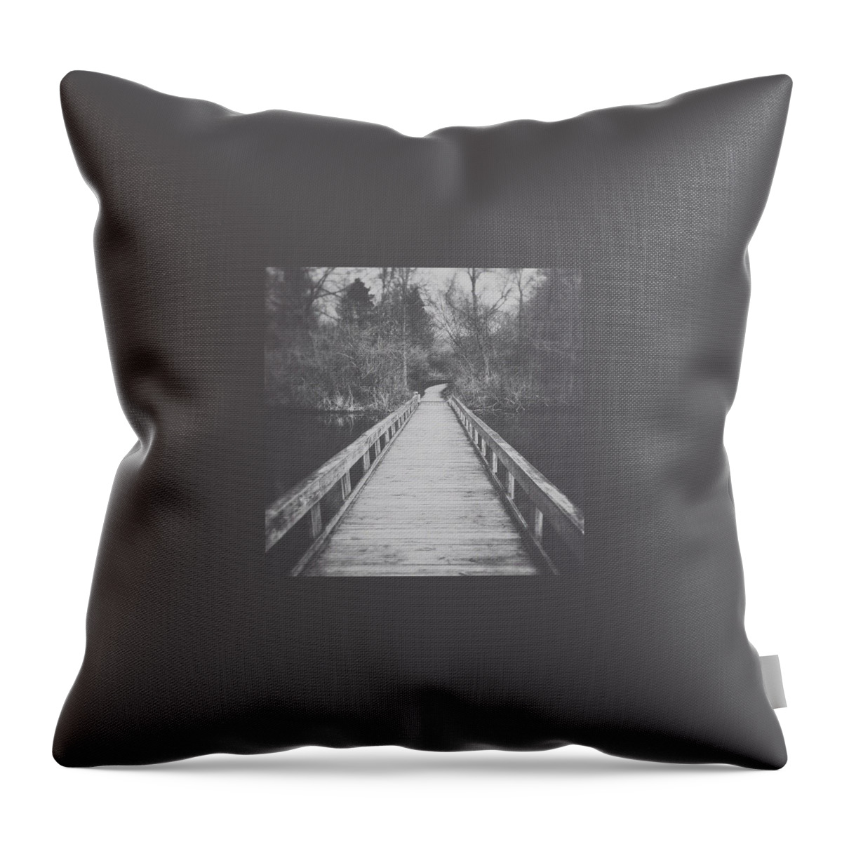 Nature Throw Pillow featuring the photograph Fishing Pier Over Worster Lake. North by Nicky Page