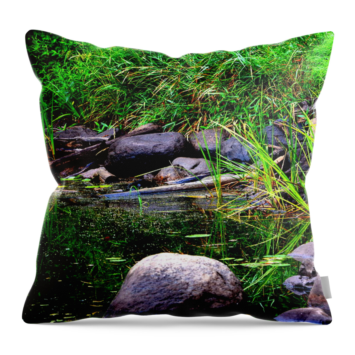 Fishing Throw Pillow featuring the photograph Fishing Pond by Kimberly Woyak