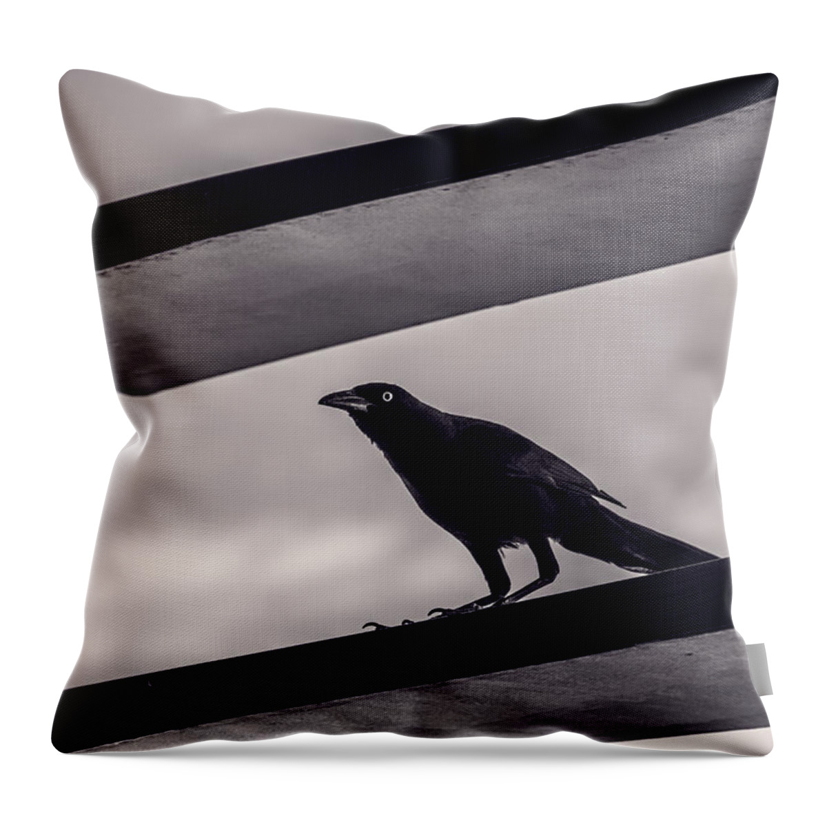 Bird Throw Pillow featuring the photograph Fixation by Laura Roberts