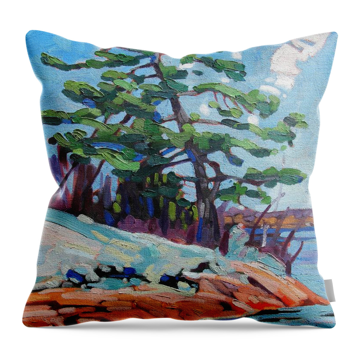 St Lawrence Throw Pillow featuring the painting Flags and Contrails by Phil Chadwick
