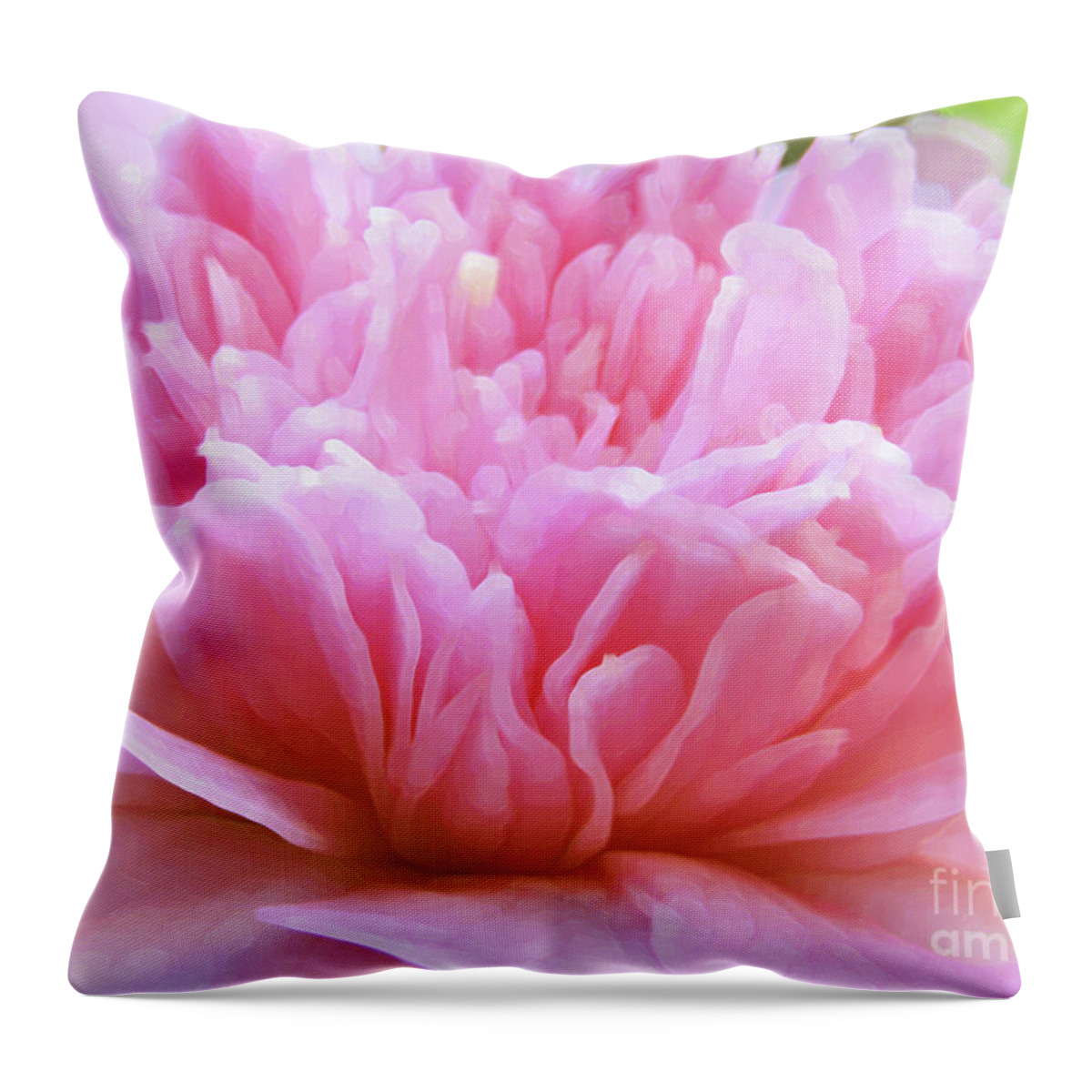 Camellia Throw Pillow featuring the photograph Flamboyant Camillia by Kim Tran