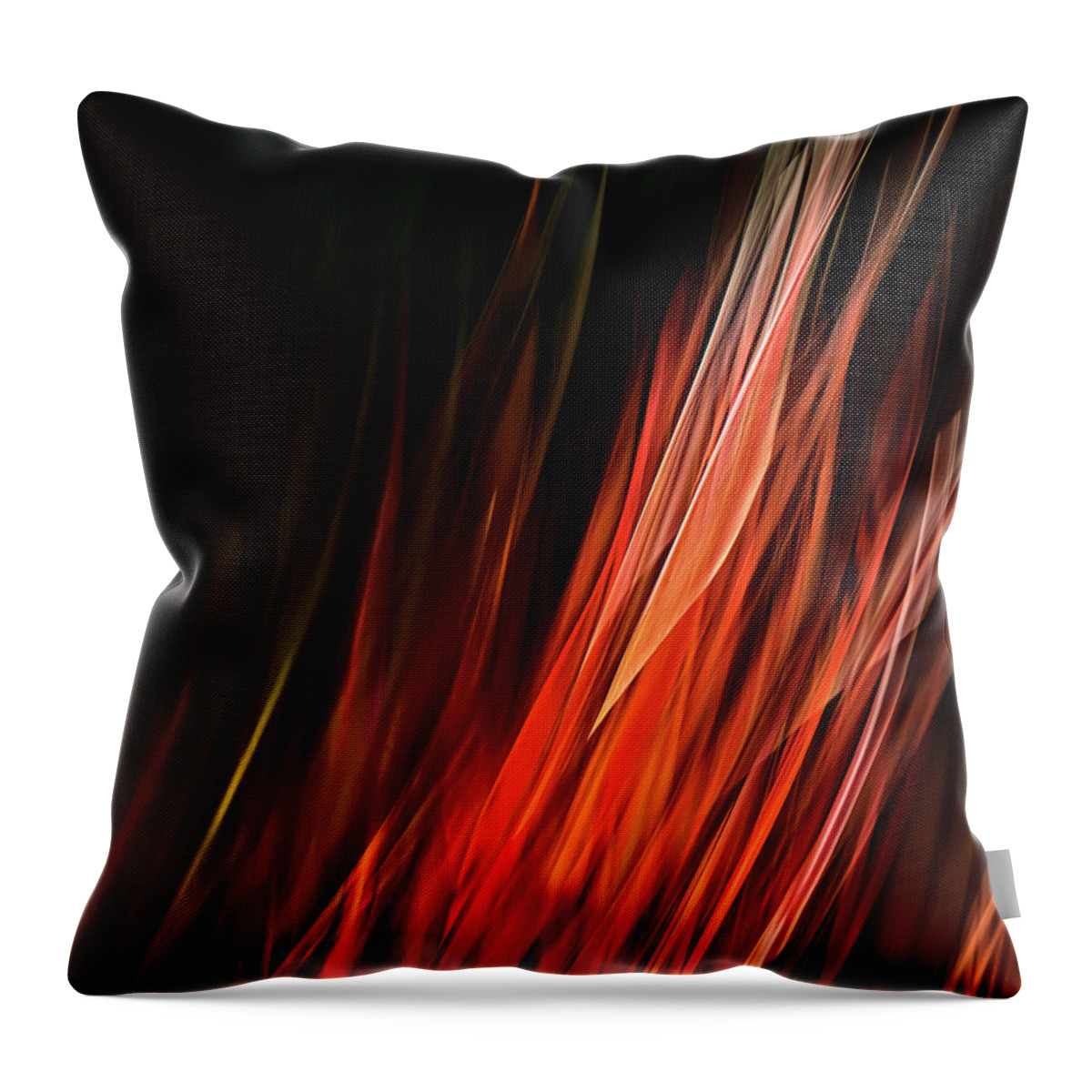 Miscanthus 'purpurascens' Throw Pillow featuring the photograph Flame Grass by Theresa Tahara