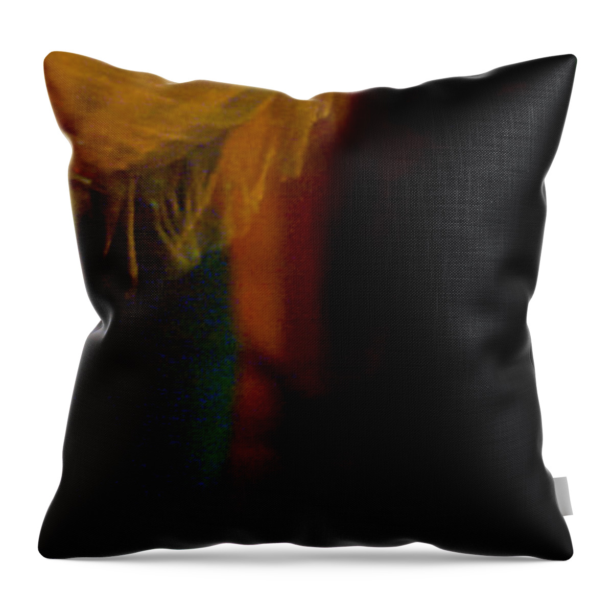 Andalusia Throw Pillow featuring the photograph Flamenco Series 23 by Catherine Sobredo