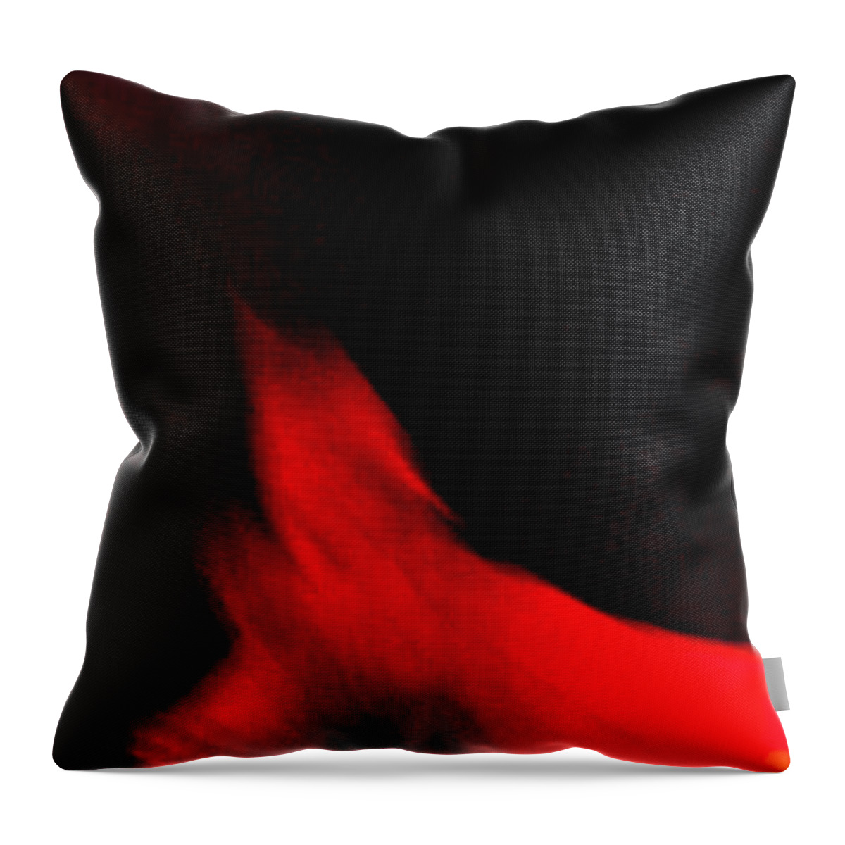 Andalusia Throw Pillow featuring the photograph Flamenco Series 25 by Catherine Sobredo