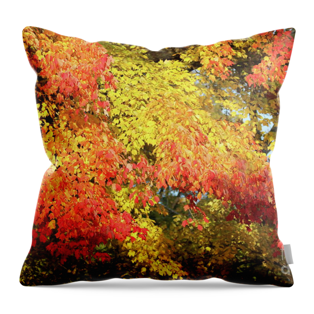 Reid Callaway Autumn Leaves Throw Pillow featuring the photograph Flaming Autumn Leaves Art by Reid Callaway