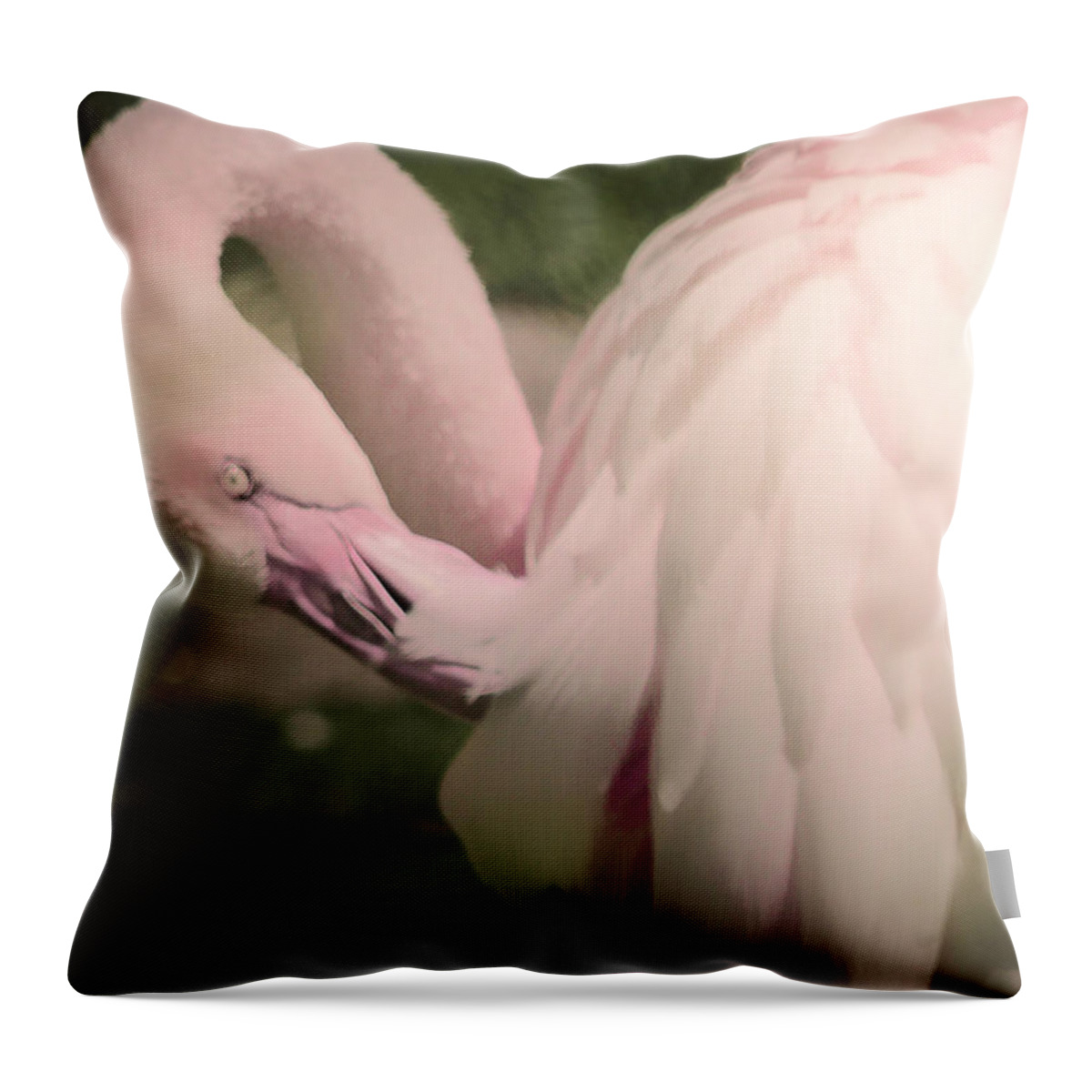 Cathy Donohoue Photography Throw Pillow featuring the photograph Flamingo Feathers by Cathy Donohoue
