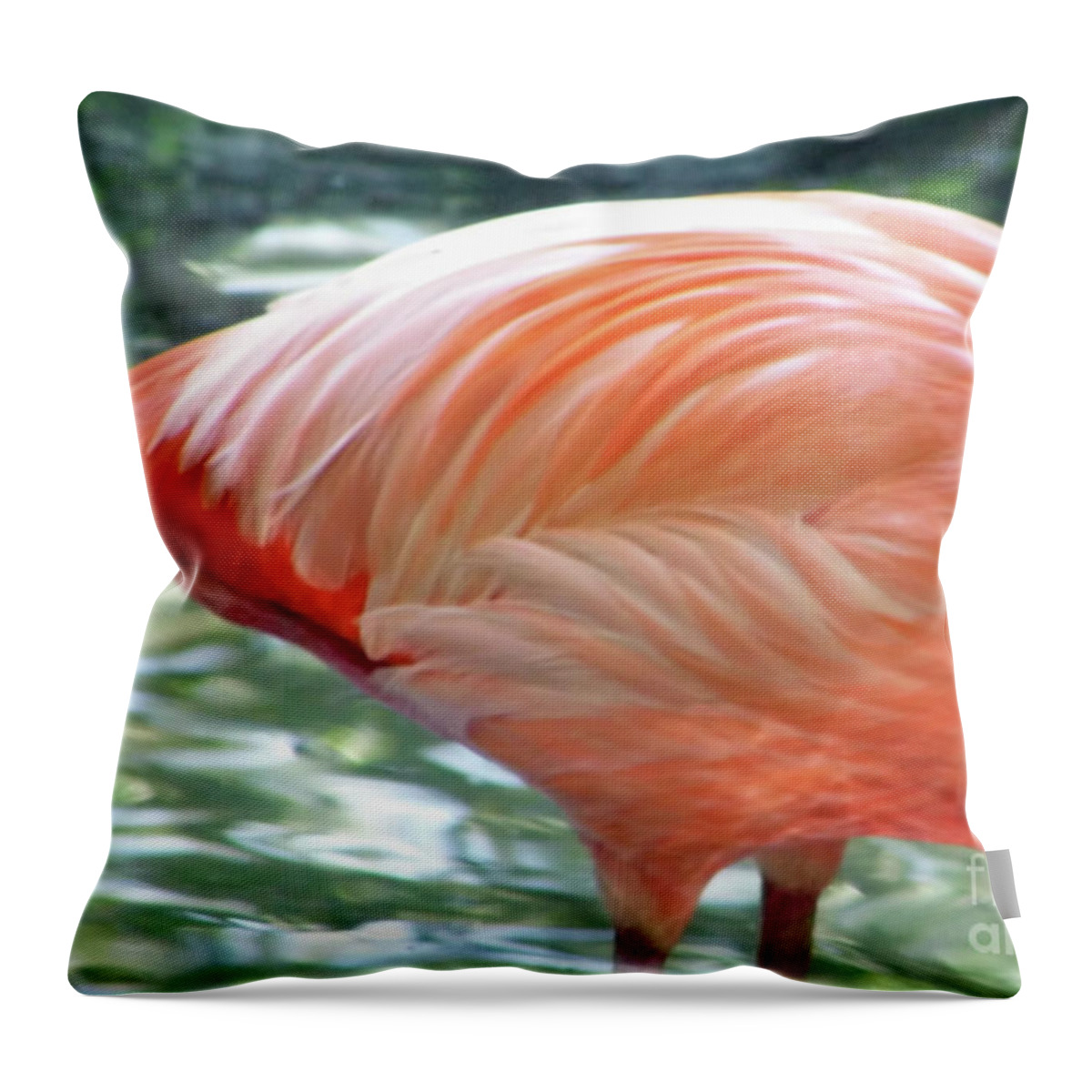 Flamingo Throw Pillow featuring the photograph Flamingo Feathers by D Hackett